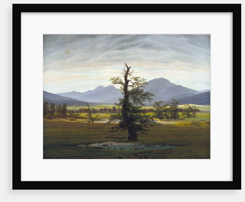 The Solitary Tree (Village Landscape in Morning Light) by Caspar David Friedrich