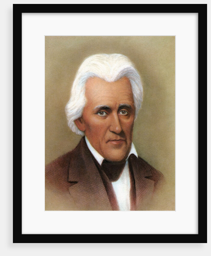 Andrew Jackson by Anonymous