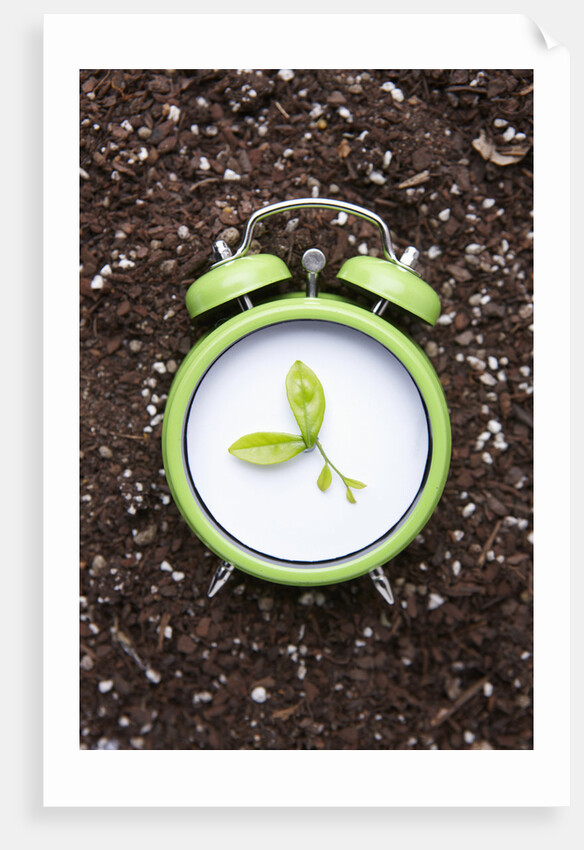 Eco friendly green concepts by Anonymous