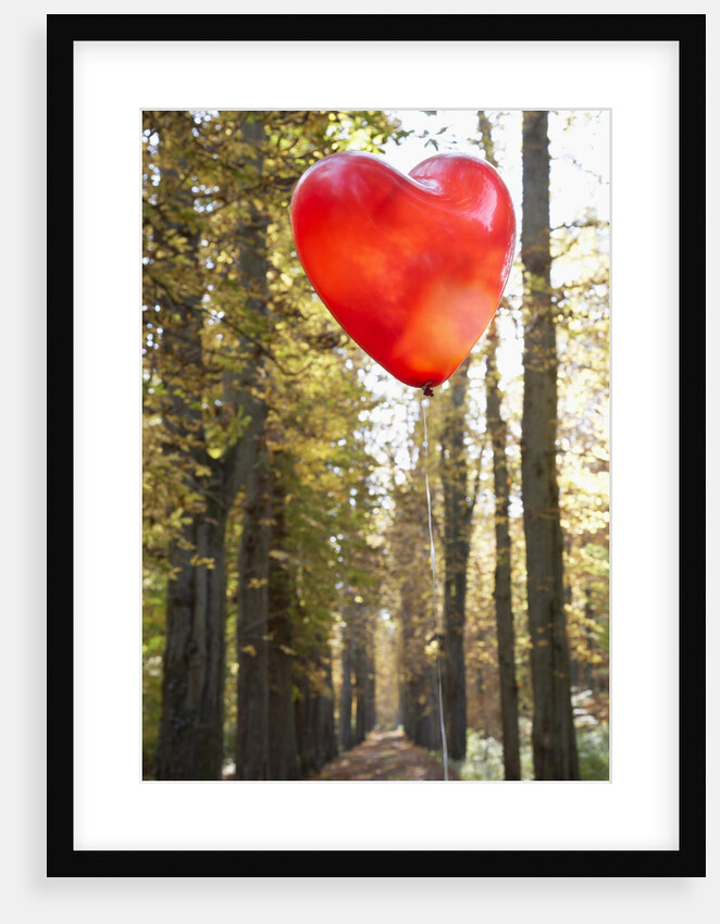 Red balloon in shape of heart in autumn forest by Corbis