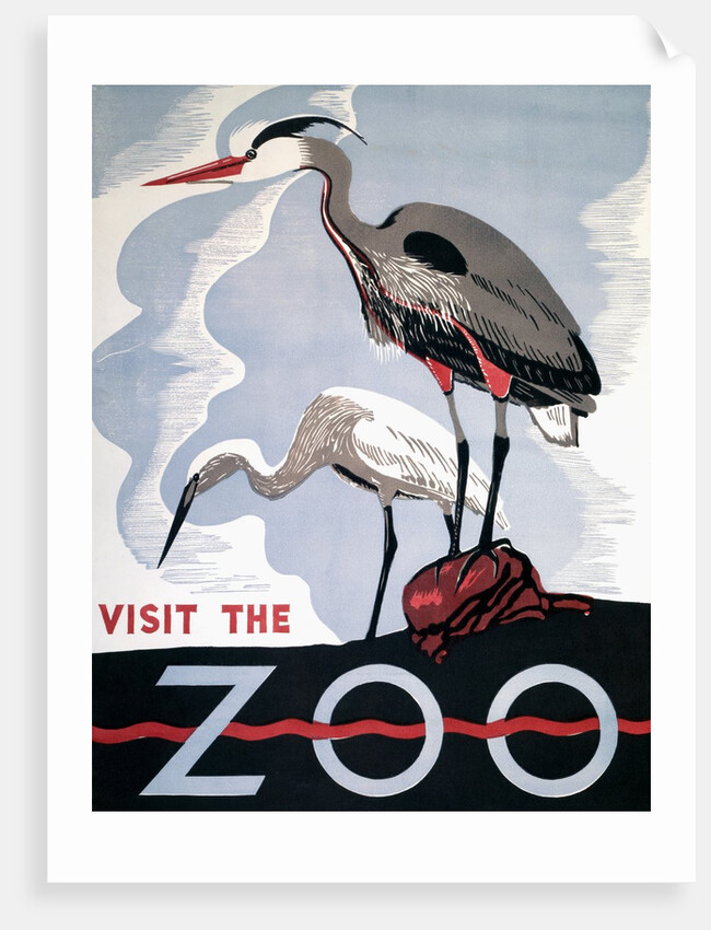Visit the Zoo poster with two herons by Anonymous
