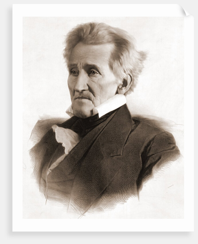 Portrait of Andrew Jackson by Anonymous