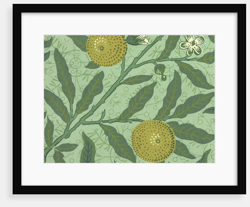 William Morris wallpaper sample with lemons and branches by Anonymous