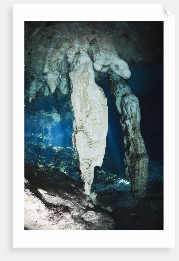 Stalactites in Gran Cenote, Tulum, Yucatan Peninsula, Mexico by Anonymous