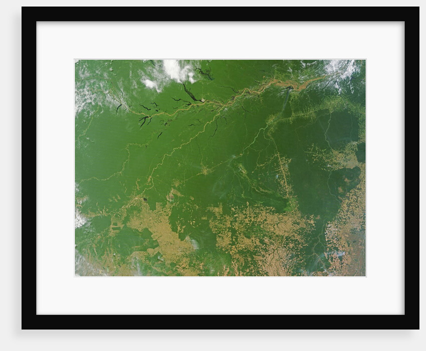 Deforestation in the Amazon Basin, Brazil by Anonymous