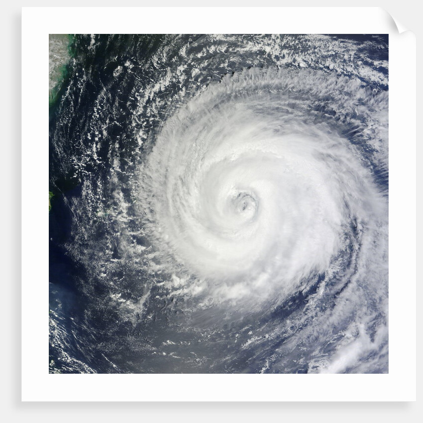 Typhoon Muifa in the Philippine Sea by Anonymous