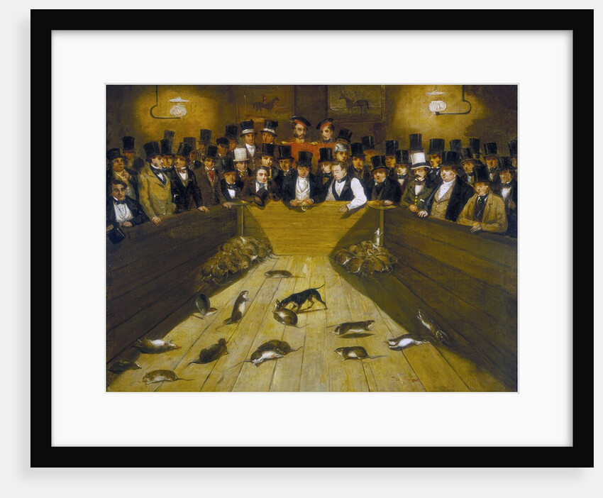 Rat-Catching at the Blue Anchor Tavern, Bunhill Row, Finsbury by Anonymous