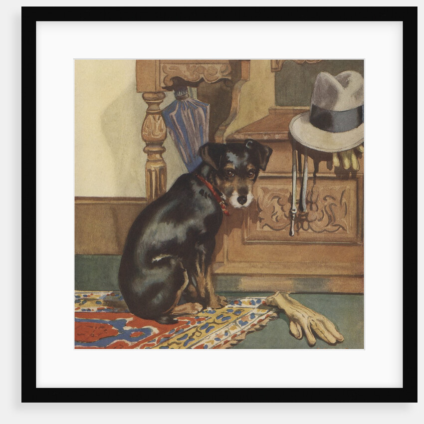 Dog waiting to go for walk by Anonymous