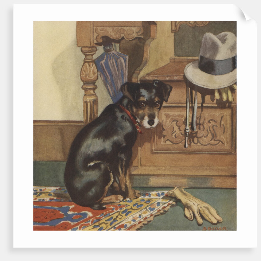 Dog waiting to go for walk by Anonymous