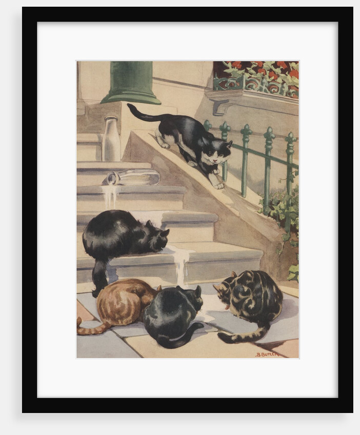 Four cats drinking milk from spilled bottle on stoop by Anonymous