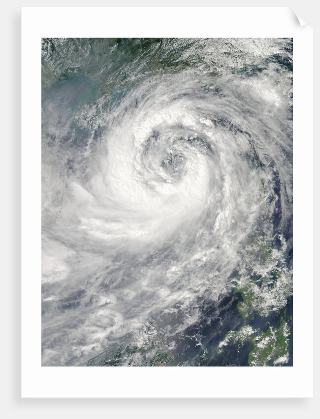 Typhoon Nesat by Anonymous