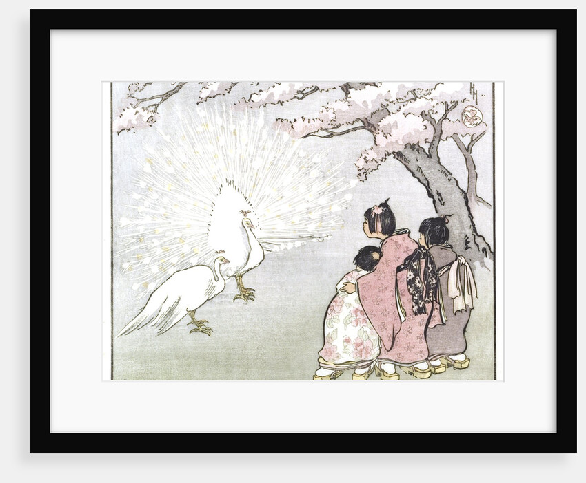 White Peacock by Helen Hyde
