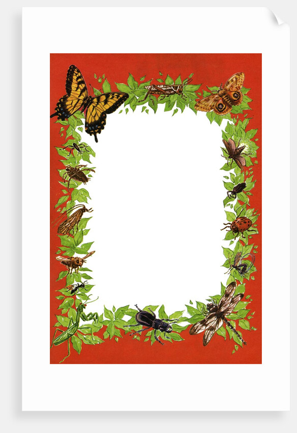 Boder illustration with butterflies, bees and other insects by Anonymous