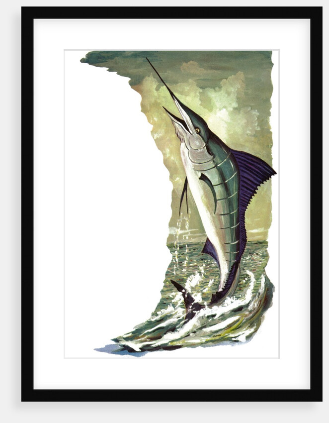 Leaping striped marlin by Anonymous
