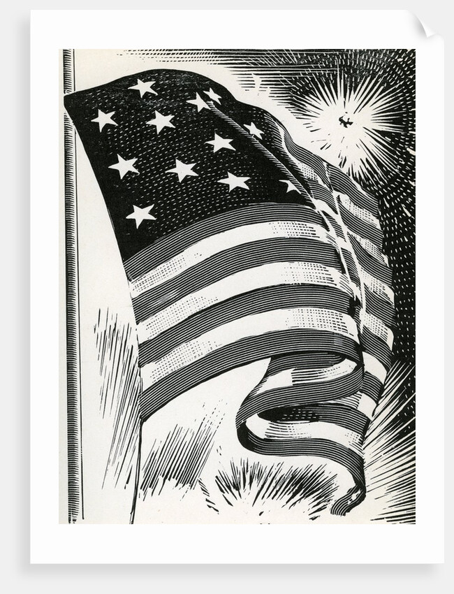 American flag flying over Fort McHenry by Anonymous