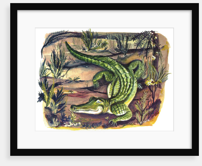 Crocodile in its natural habitat by Anonymous