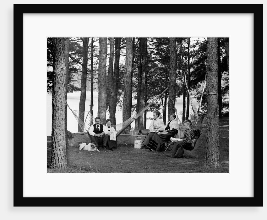 The family has picnic among the pines, ca. 1900. by Anonymous