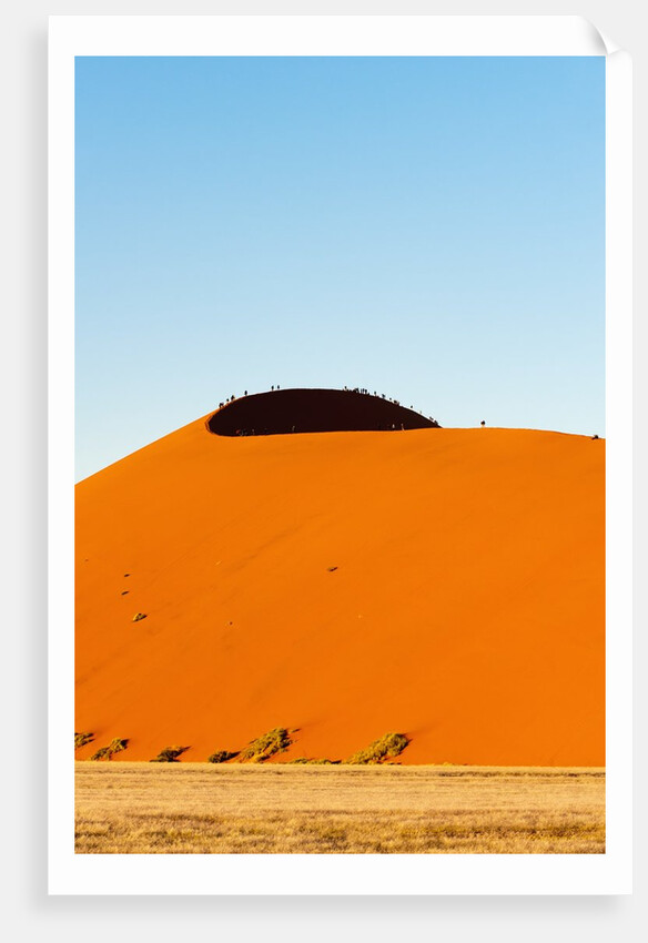 Dune 45, Sossusvlei, Namibia. by Anonymous