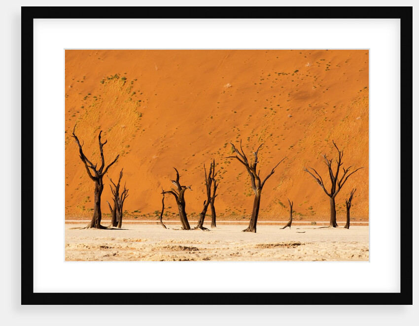 Deadvlei, Namibia by Anonymous