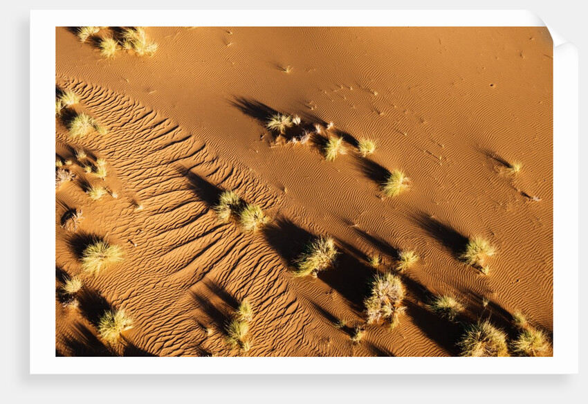 Aerial view, Namib Desert, Namibia. by Anonymous