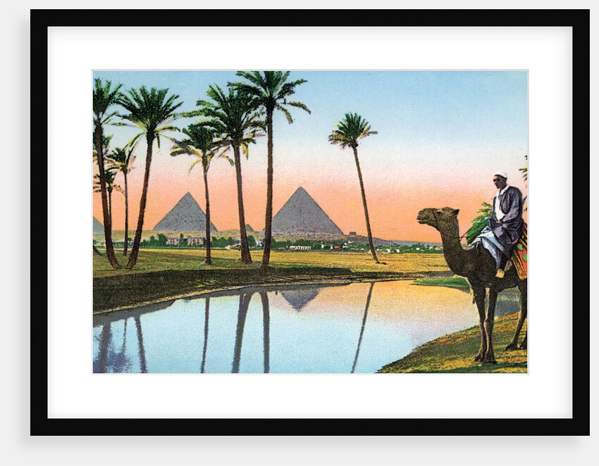 Man on a camel viewing the Pyramids of Giza by Anonymous