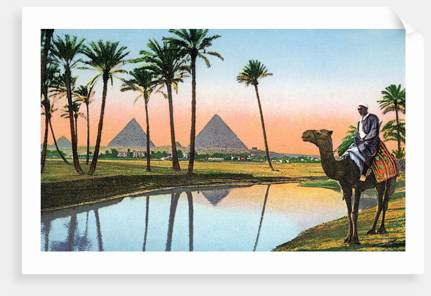 Man on a camel viewing the Pyramids of Giza by Anonymous