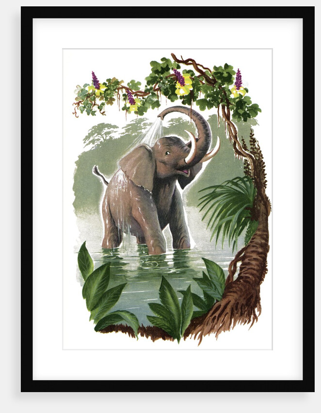 Elephant spraying itself with water by Anonymous
