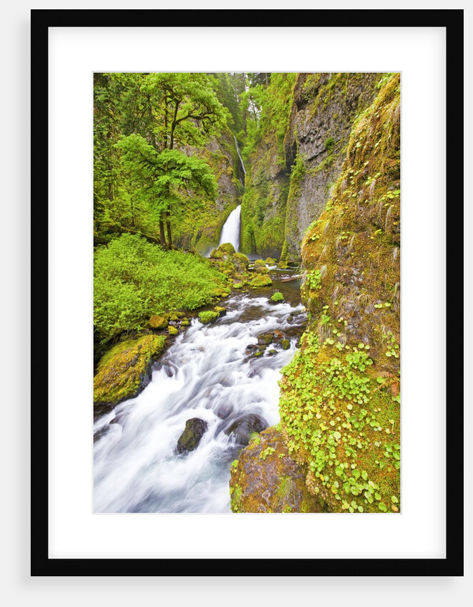 Tanner Creek Falls, Columbia River Gorge National Scenic Ates, Oregon by Anonymous