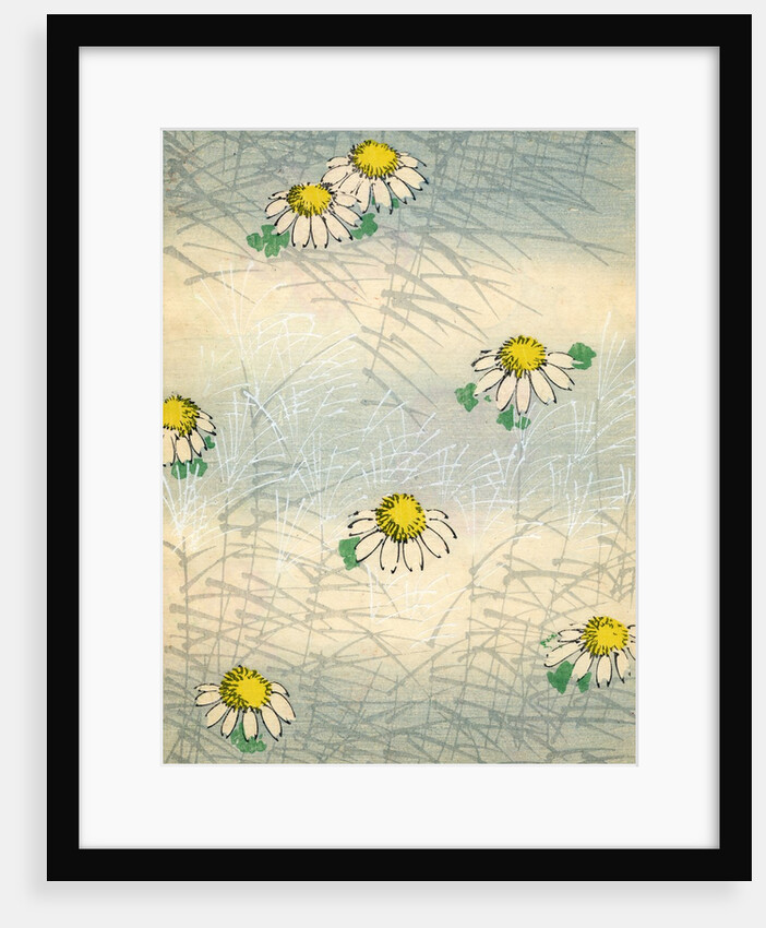 Woodblock print of daisy blossoms and grass by Anonymous