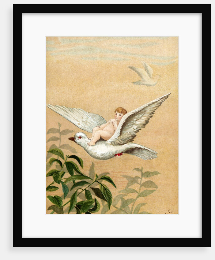Fairy riding a white dove by Anonymous
