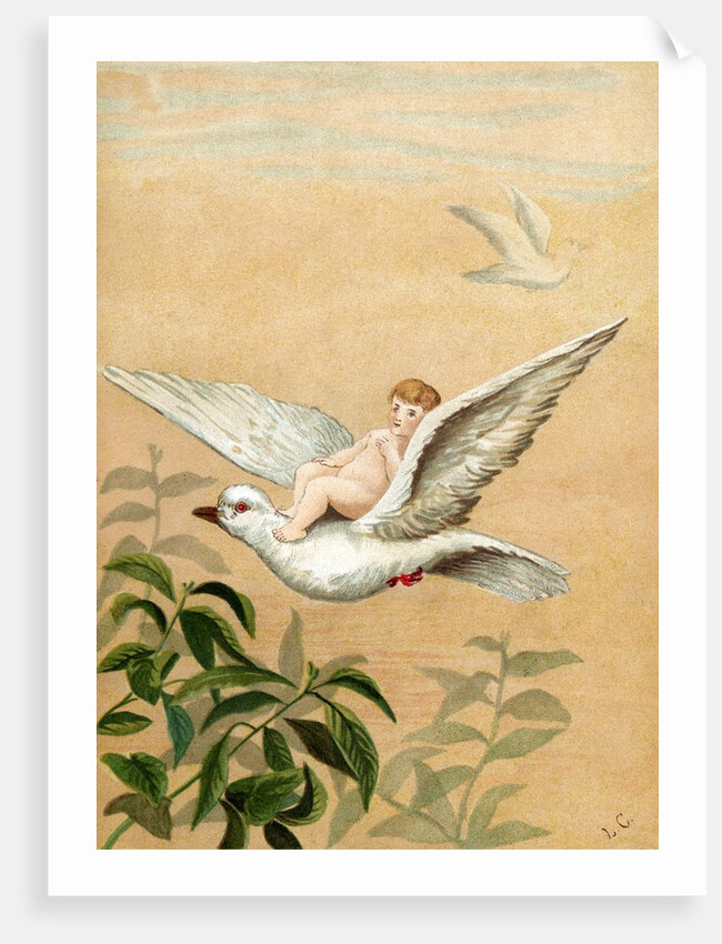 Fairy riding a white dove by Anonymous