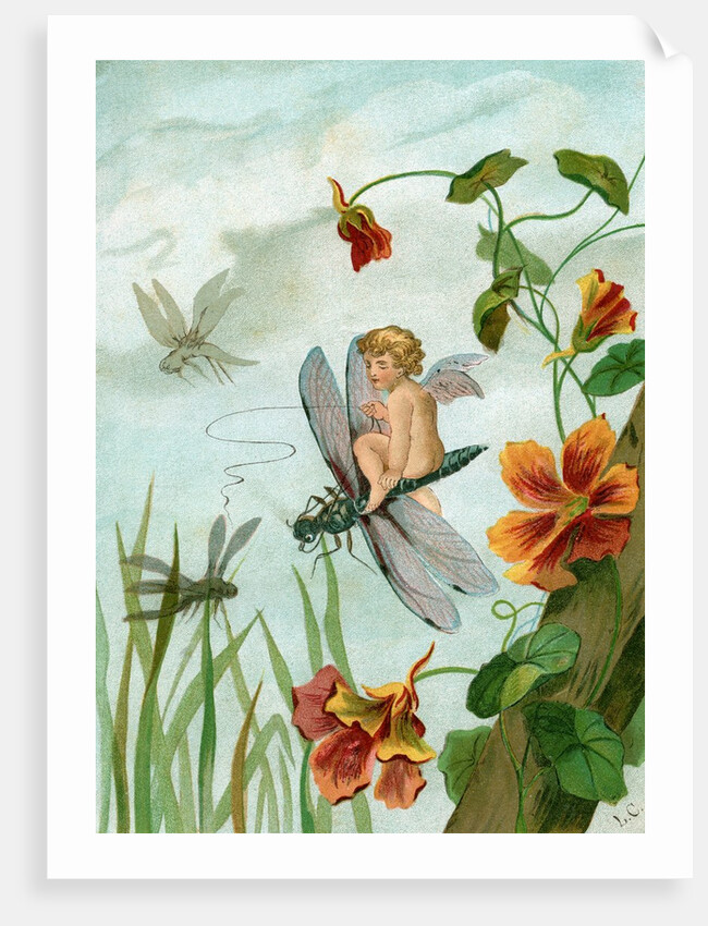 Winged fairy riding a dragonfly near nasturtium blooms by Anonymous