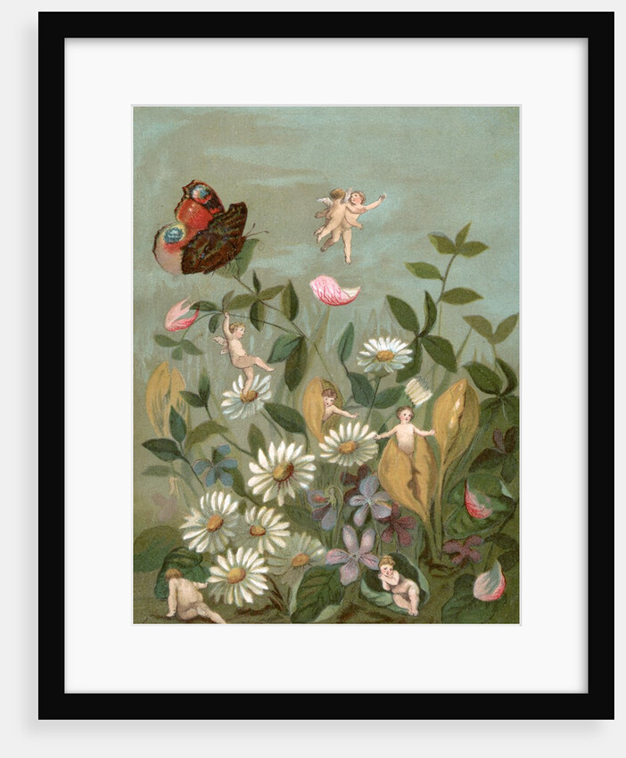 Fairies frollicking among daisies and a butterfly by Anonymous