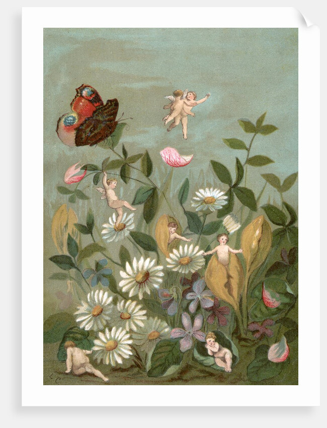 Fairies frollicking among daisies and a butterfly by Anonymous