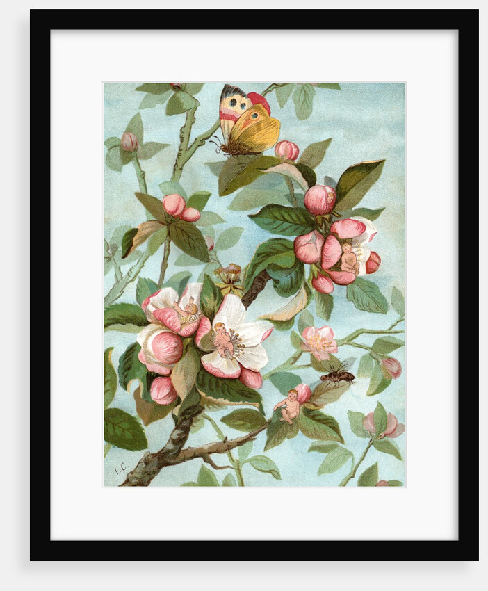 Fairies hiding in rose blossoms by Anonymous