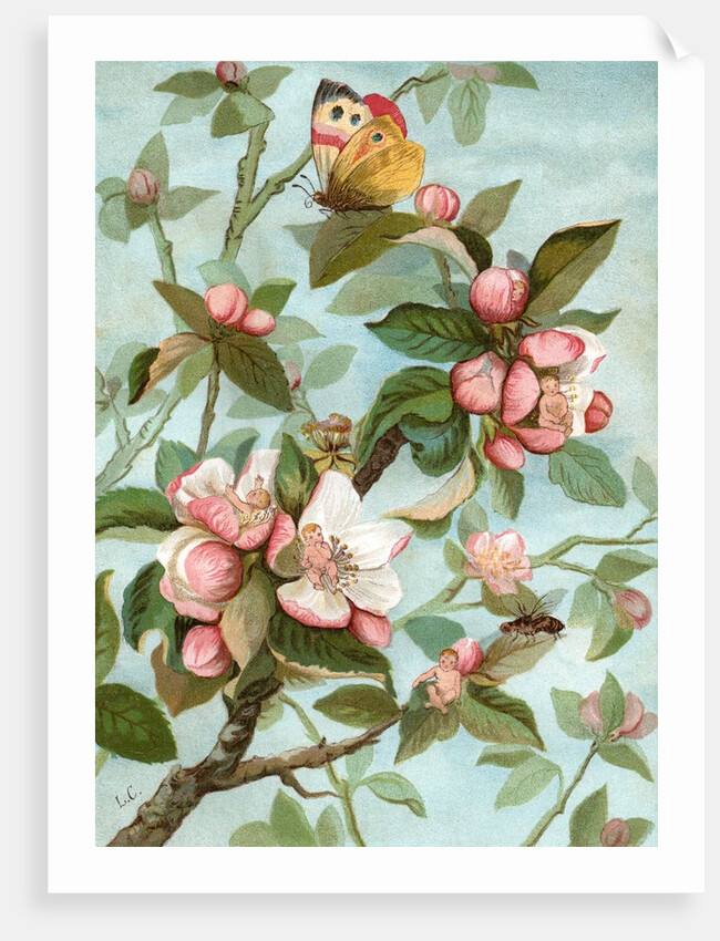 Fairies hiding in rose blossoms by Anonymous