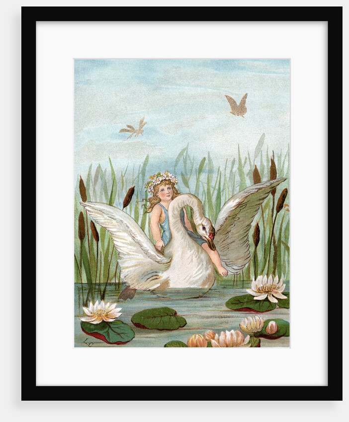 Fairy riding a white swan in a marsh by Anonymous