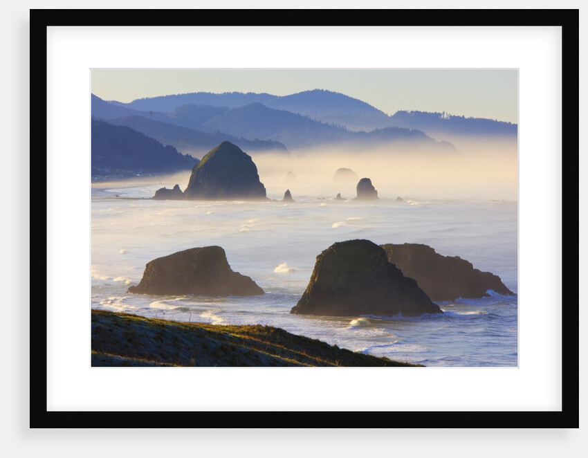 Haystack Rock from Ecola State Park, Oregon Coast. by Anonymous