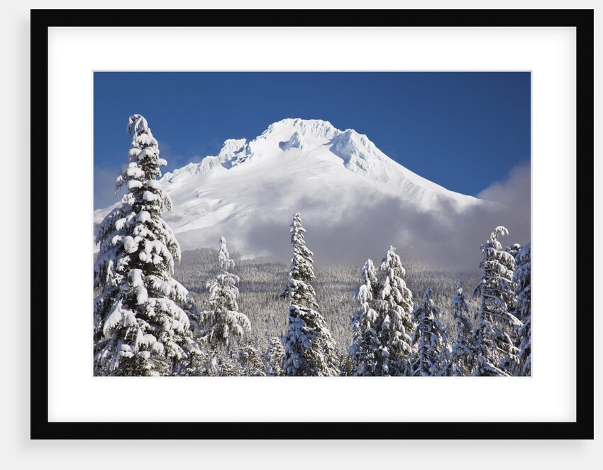 winter snow adds beauty to Mt. Hood, Oregon. Oregon Cascades. by Anonymous
