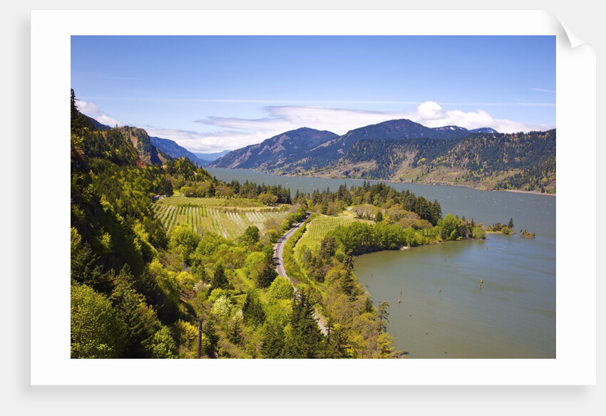 view point looking west down Columbia River Gorge from Ruthton Park. Hood River, Oregon, Columbia Ri by Anonymous