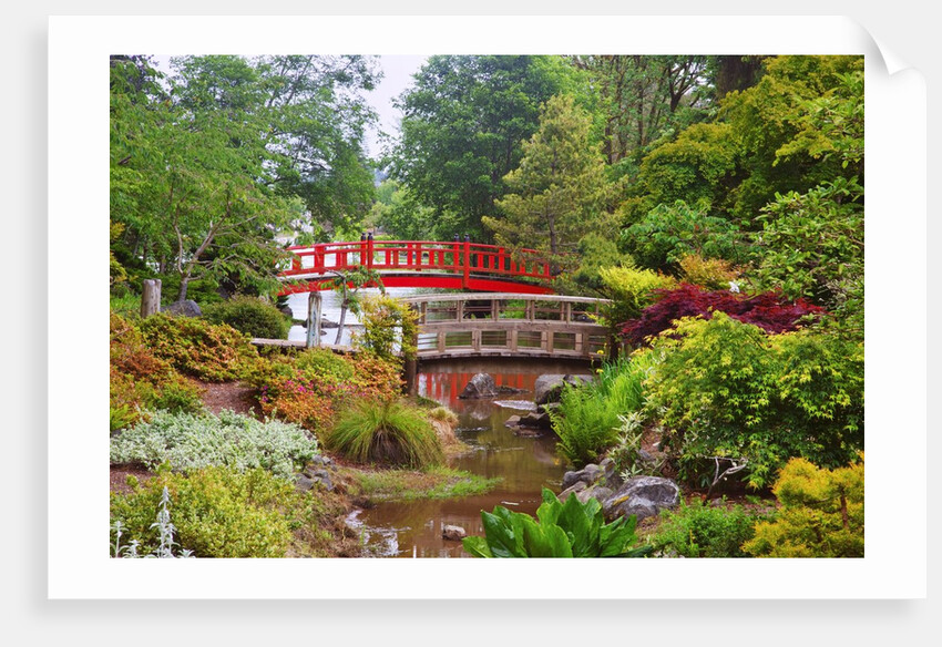 spring time at Mingus Park, Coos Bay, South Oregon Coast, Pacific Northwest. by Anonymous