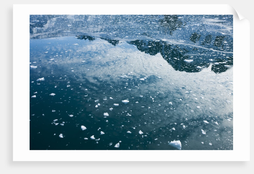 Arctic Ice, Svalbard by Anonymous