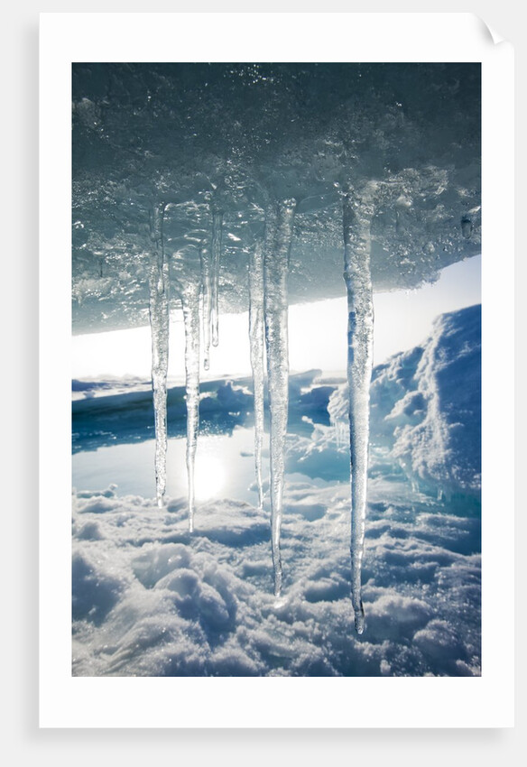 Arctic Ice, Svalbard by Anonymous