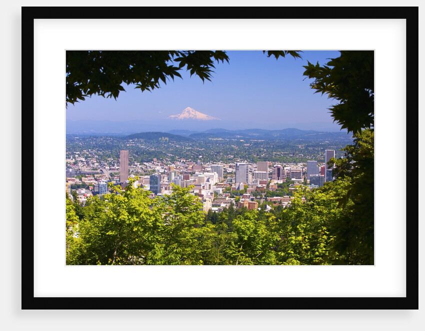 Mt.Hood from Pittock Mansion. Portland Oregon. Pacific Northwest. by Anonymous