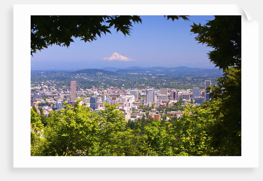 Mt.Hood from Pittock Mansion. Portland Oregon. Pacific Northwest. by Anonymous