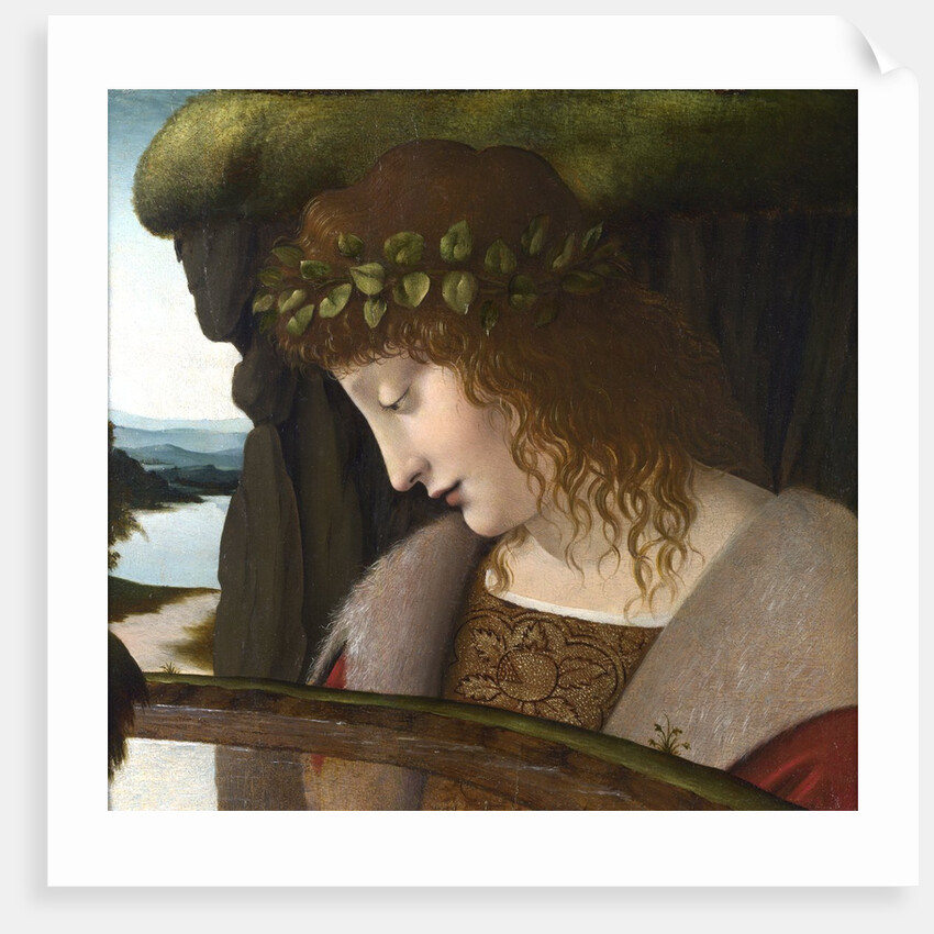 Narcissus by Anonymous