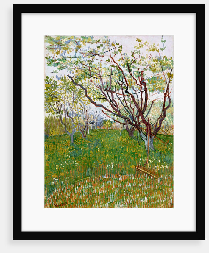 The Flowering Orchard by Vincent Van Gogh
