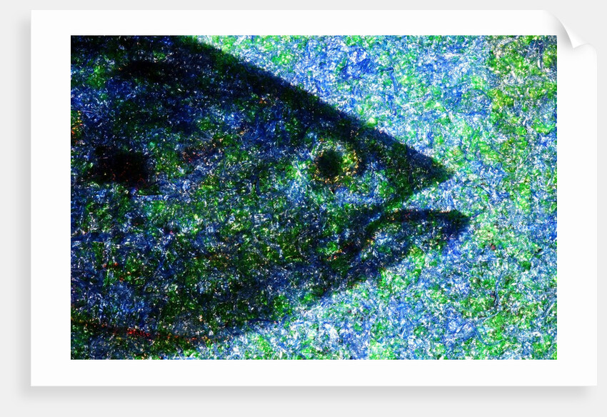 Fish by Anonymous