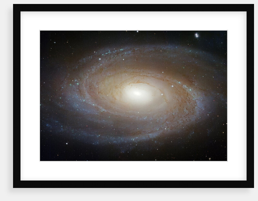 M81 Spiral Galaxy by Anonymous
