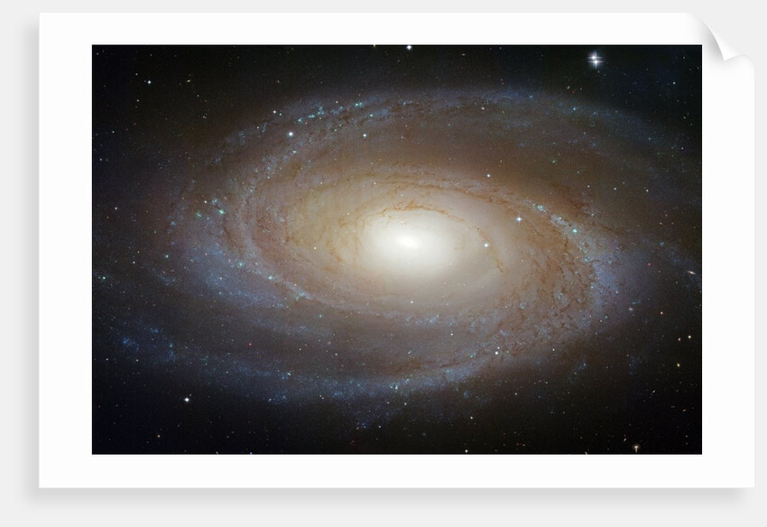 M81 Spiral Galaxy by Anonymous